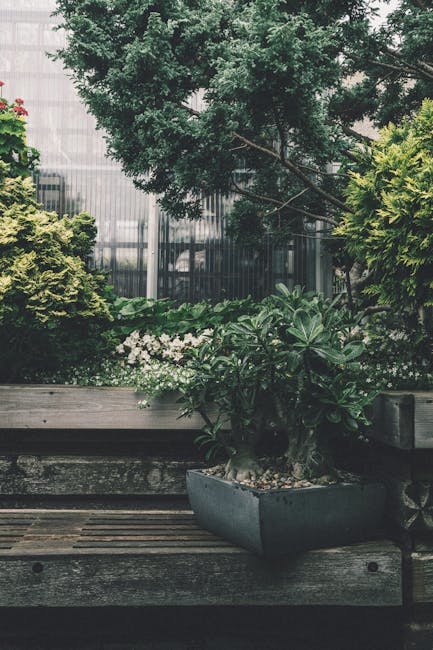 A multi-level outdoor garden area featuring wide wooden steps with integrated seating and black metal railings, surrounded by lush green trees and shrubs. The garden is situated near modern glass buil